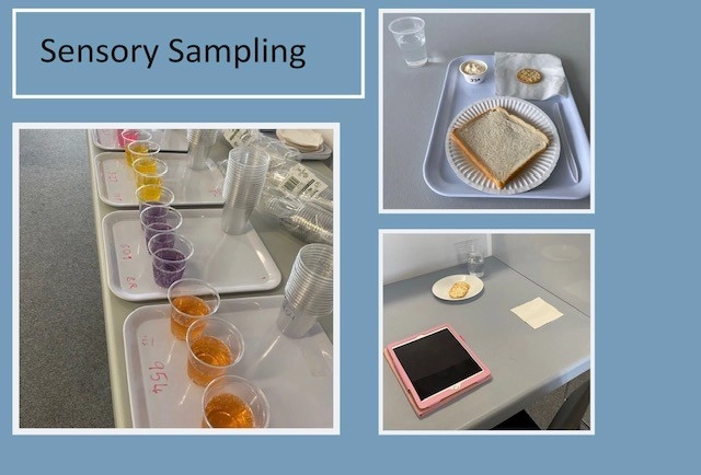 Kauri Sensory Samples